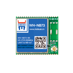 NB-IoT？