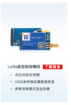 配电运维解决方案相关产品：lora星型组网模组