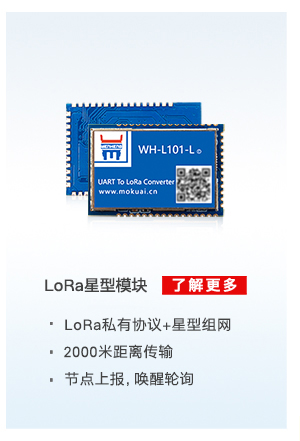 lora星型？
