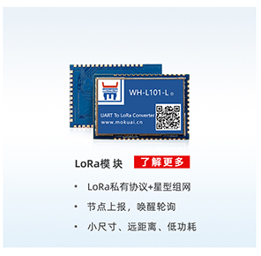 lora？
