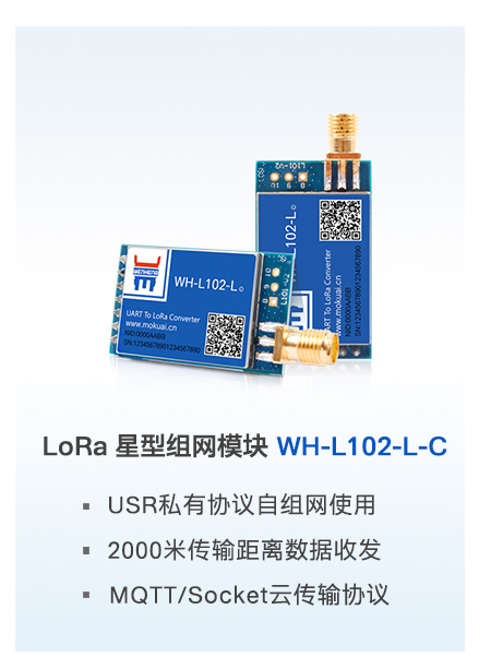 lora？