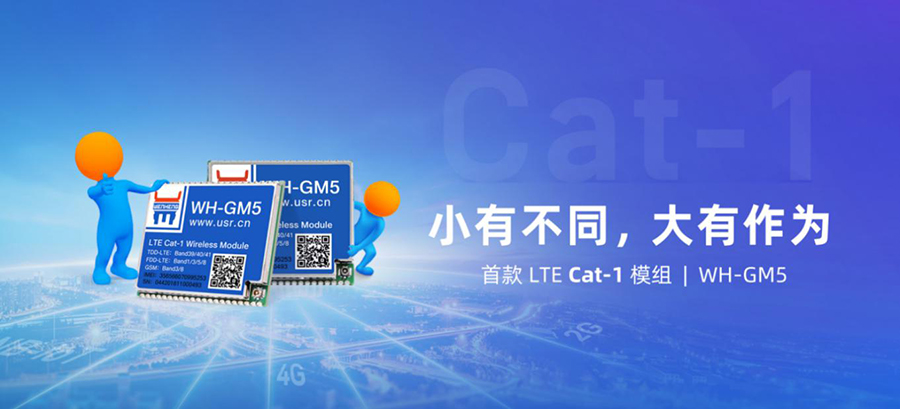 Cat-1？镚M5